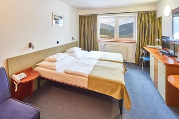 Room with one extra bed