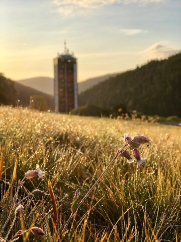 Packages hotel Horizont, Pec pod Sněžkou, Giant mountains