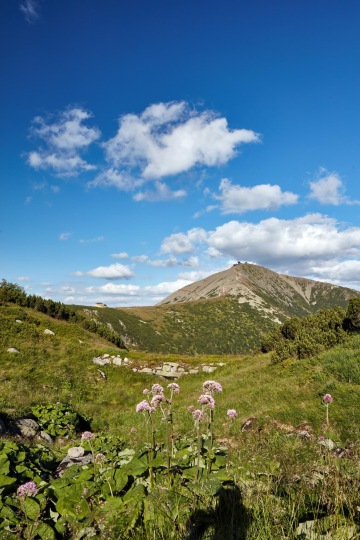 Na Sněžku Obřím dolem