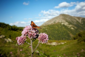 Aufenthalt in den Bergen mit letzte Nacht gratis