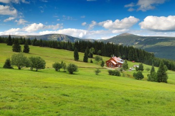 Z Pece na Václavák a zpět
